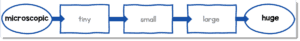 How to Use a Linear Array to Practice Vocabulary - Vocabulary Luau
