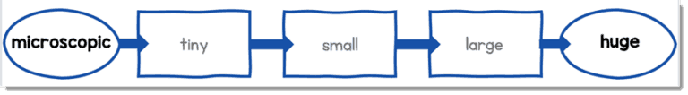 How to Use a Linear Array to Practice Vocabulary - Vocabulary Luau