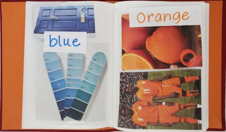 pictures of blue and orange objects in a small photo album