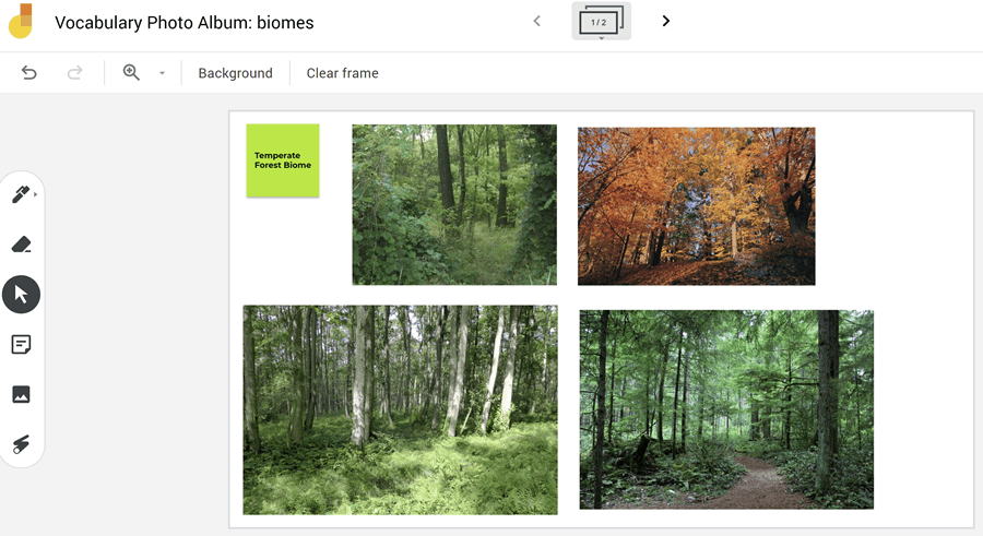 jamboard with pictures of forests